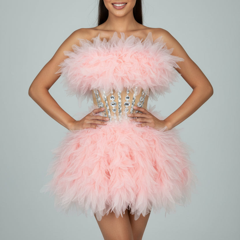 Jessica Bara Veana Tulle Crystal Mini Dress