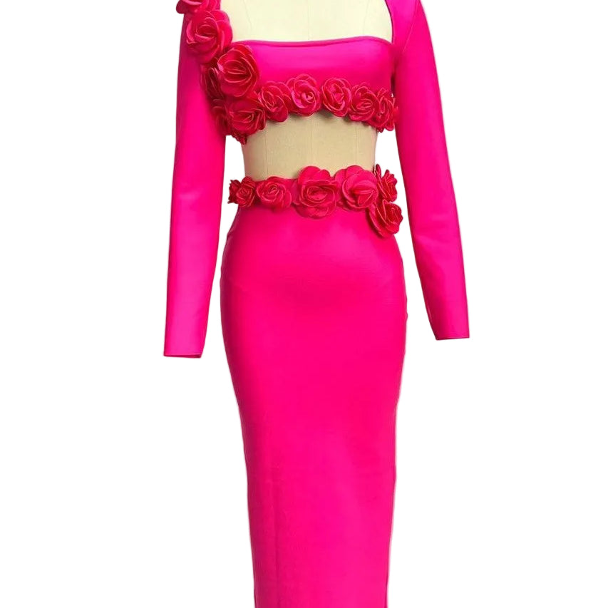 Jessica Bara Alisha Flower Long Sleeve Top and Maxi Skirt Two Piece Set
