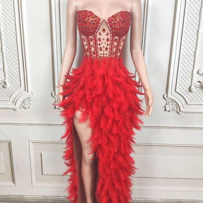 Jessica Bara Elaya Crystal Feather Slit Gown
