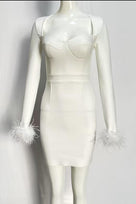 Jessica Bara Valley Long Sleeve Feather Mini Dress