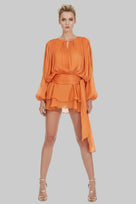 Jessica Bara Endel Long Sleeve Mini Dress