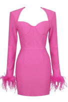 Jessica Bara Valley Long Sleeve Feather Mini Dress