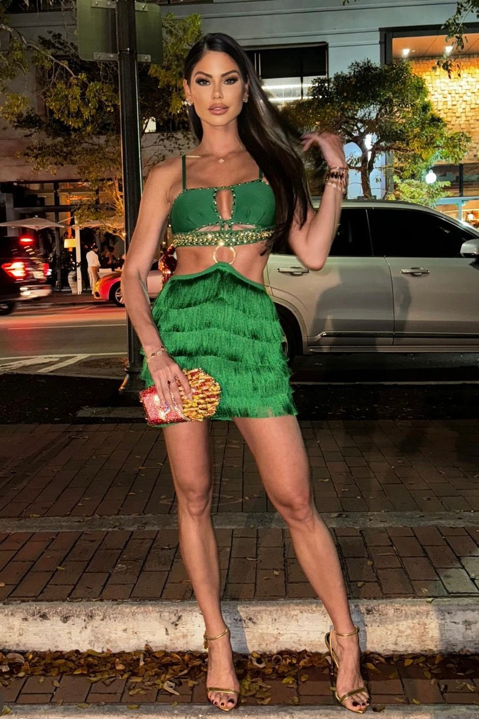 Jessica Bara Eilo Rhinestone Fringe Mini Dress