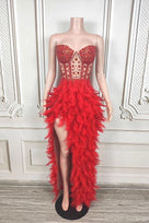 Jessica Bara Elaya Crystal Feather Slit Gown