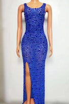 Jessica Bara Frinces Crystal Slit Gown