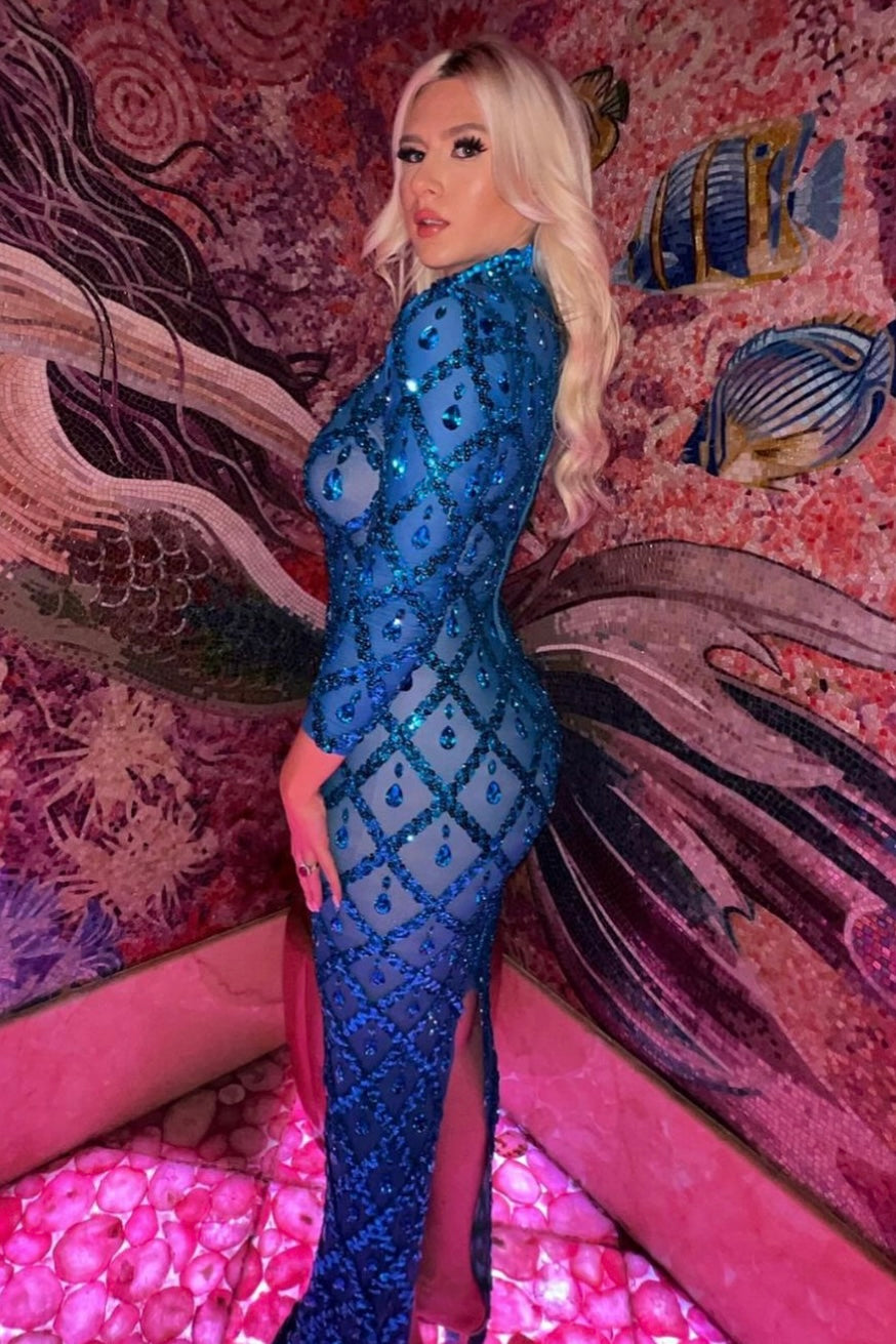 Jessica Bara Jasmeen Crystal Mesh Long Sleeve Maxi Dress – JESSICA BARA