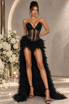 Jessica Bara Nexie Crystal Feather High Low Gown