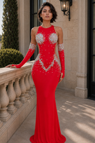 Jessica Bara Vex Crystal Cut Out Slit Gown with Gloves