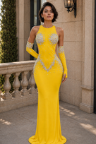 Jessica Bara Vex Crystal Cut Out Slit Gown with Gloves