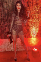 Jessica Bara Annaleigh Long Sleeve Feather Mesh Dress
