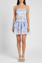 Jessica Bara Penelope Printed Strapless Tube Ruffle Mini Dress